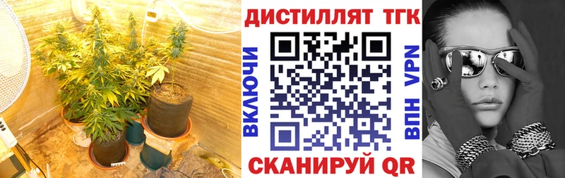 ТГК вейп с тгк  Ленинск-Кузнецкий 