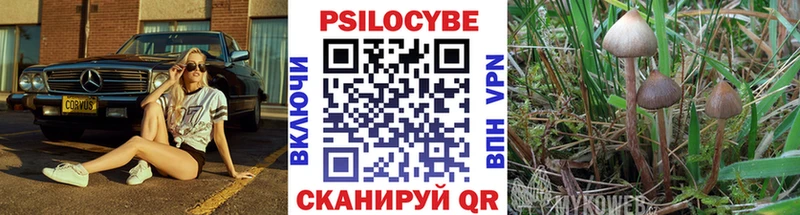 Галлюциногенные грибы ЛСД  закладки  Ленинск-Кузнецкий 