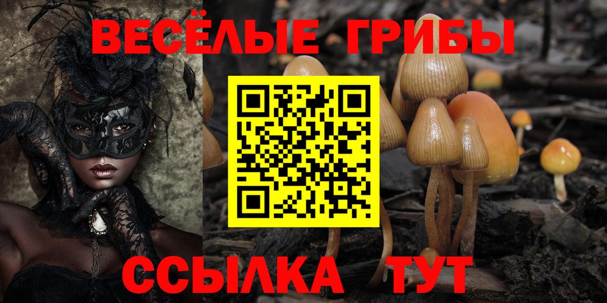 Ленинск-Кузнецкий  Псилоцибиновые грибы мицелий  Вход с VPN 