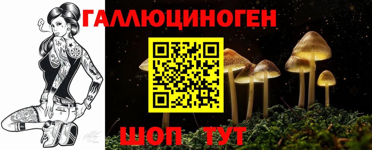 Псилоцибиновые грибы мухоморы Ленинск-Кузнецкий
