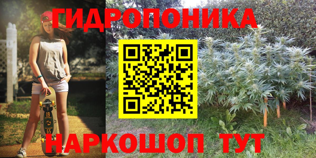 Конопля марихуана Ленинск-Кузнецкий